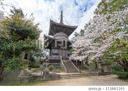 【第1番札所】桜咲く霊山寺　多宝塔【四国八十八箇所】 113661161