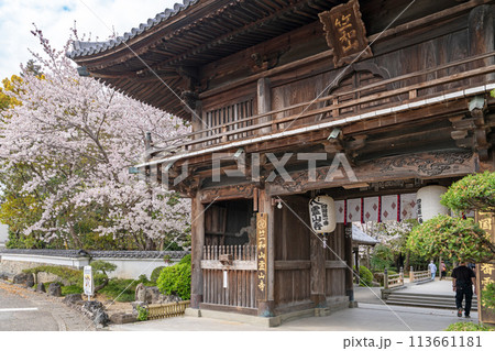 【第1番札所】桜咲く霊山寺　仁王門【四国八十八箇所】 113661181