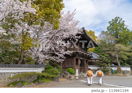 【第1番札所】桜咲く霊山寺 仁王門【四国八十八箇所】 【第1番札所】桜咲く霊山寺 仁王門【四国八十八箇所】 113661184