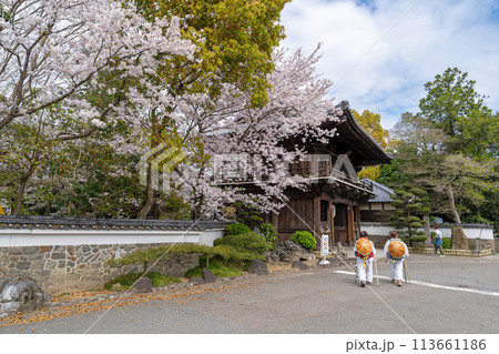 【第1番札所】桜咲く霊山寺 仁王門【四国八十八箇所】 【第1番札所】桜咲く霊山寺 仁王門【四国八十八箇所】 113661186