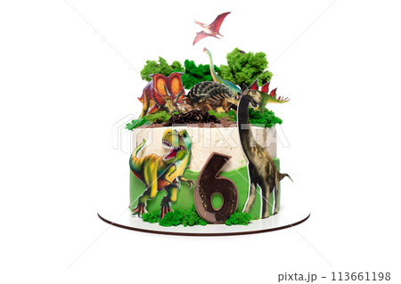 Dinosaur and Plant Decorated Birthday Cake 113661198