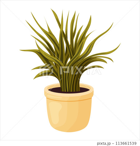 Vector illustration of a potted houseplant with leaves 113661539