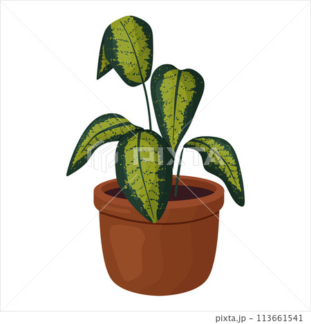 Vector illustration of a potted houseplant with leaves 113661541