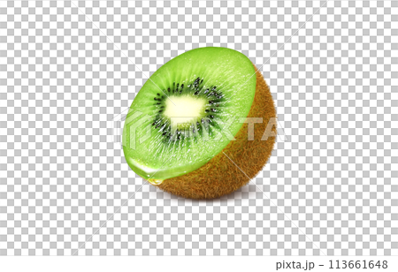 獼猴桃插圖現實白色背景 113661648