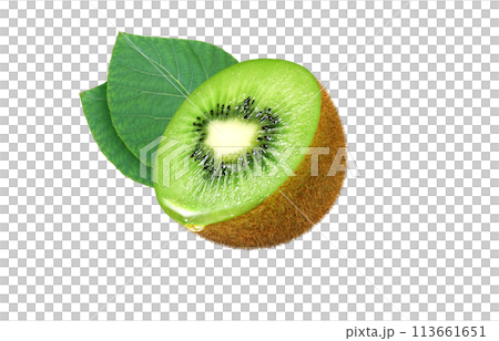 Kiwi illustration realistic white background 113661651