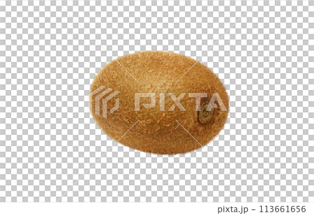 Kiwi illustration realistic white background 113661656