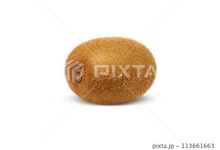 キウイのイラスト リアル 白バック 113661663