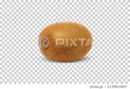 キウイのイラスト リアル 白バック 113661663