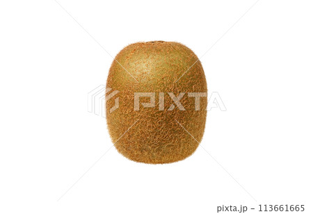 キウイのイラスト リアル 白バック 113661665