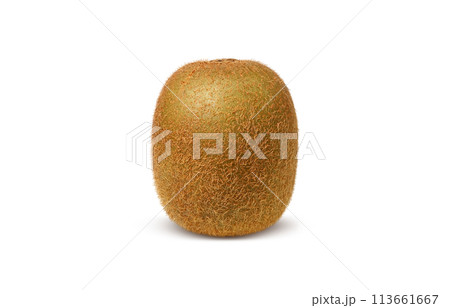 キウイのイラスト リアル 白バック 113661667