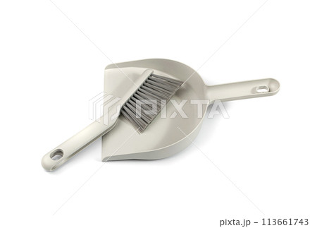 Broom and Dustpan Isolated, Grey Plastic Dust Pan with Brush for Carpet, Floor Cleaning 113661743