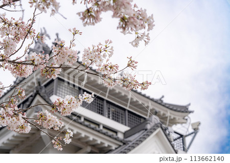 春の妙見山公園　トリーデなると 113662140