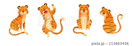 Funny Tiger Predator Jungle Animal with Striped Coat Vector Set 113663436