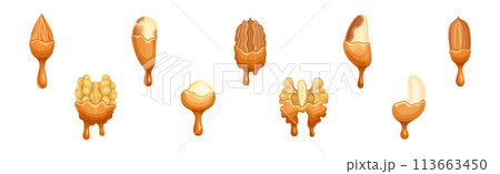 Nut Edible Seed with Dripping Chocolate or Caramel Melting Liquid Vector Set 113663450