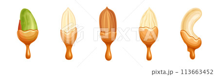Nut Edible Seed with Dripping Chocolate or Caramel Melting Liquid Vector Set Nut Edible Seed with Dripping Chocolate or Caramel Melting Liquid Vector Set 113663452
