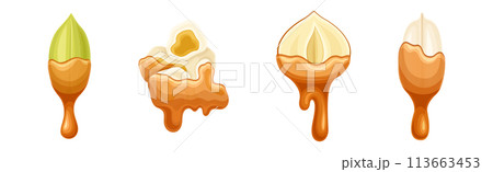 Nut Edible Seed with Dripping Chocolate or Caramel Melting Liquid Vector Set 113663453