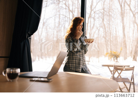Side view of hungry female eating tasty lunch standing by window with bowl of fresh vegetable salad. Pretty woman enjoying vegan meal, promoting clean living, on sunny day. Healthy vegan diet concept. Side view of hungry female eating tasty lunch standing by window with bowl of fresh vegetable salad. Pretty woman enjoying vegan meal, promoting clean living, on sunny day. Healthy vegan diet concept. 113663712