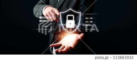 Cyber Security Essentials Safeguarding Digital Frontiers FaaS 113663932