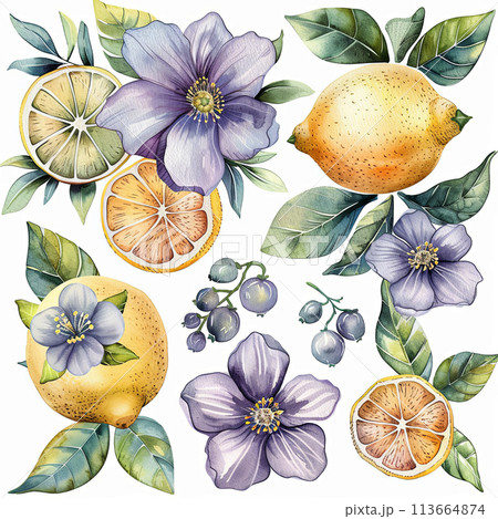 Fresh watercolor pack featuring lemon fruit, single flowers, and elements in soft pastel hues. Perfect for citrus-themed designs, recipe cards, and kitchen decor. Fresh watercolor pack featuring lemon fruit, single flowers, and elements in soft pastel hues. Perfect for citrus-themed designs, recipe cards, and kitchen decor. 113664874