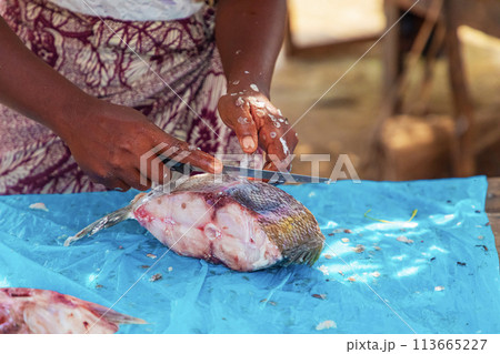 Fresh fish food at the local market, Toamasina, Madagascar Fresh fish food at the local market, Toamasina, Madagascar 113665227