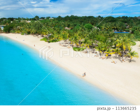 Aerial view of empty sandy beach with palm trees, blue ocean 113665235