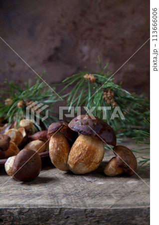 Imleria Badia or Boletus badius mushrooms commonly known as the bay bolete and clay plate with mushrooms on vintage wooden background.. 113666006