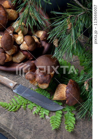 Imleria Badia or Boletus badius mushrooms commonly known as the bay bolete, clay plate with mushrooms and knife on vintage wooden background.. 113666007