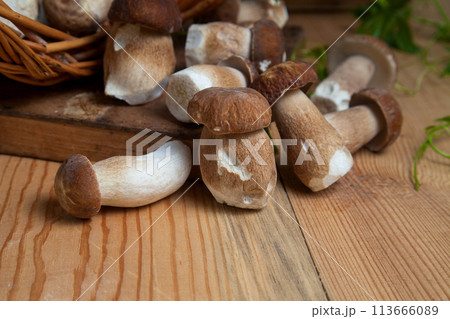 Selective focus on beautyfull porcini mushroom among the pile of wild porcini mushrooms on wooden background at autumn season.. 113666089