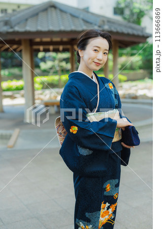 訪問着の着物を着た女性 113666869