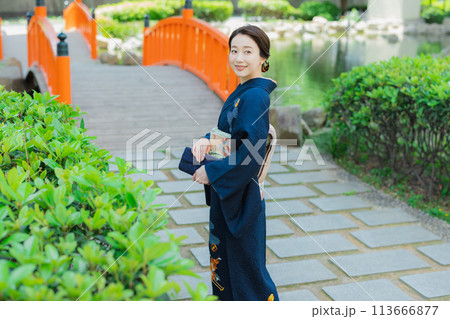 訪問着の着物を着た女性 113666877