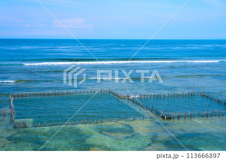 A local seafood farm in the ocean. A net fence for mollusk farming near the shore. 113666897