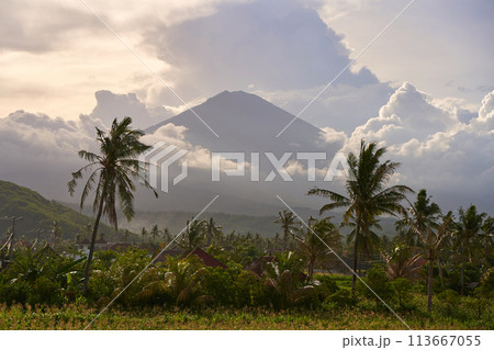 View of the mountain against a background of palm trees and a cornfield. Panorama of Agung volcano covered with clouds before sunset. View of the mountain against a background of palm trees and a cornfield. Panorama of Agung volcano covered with clouds before sunset. 113667055