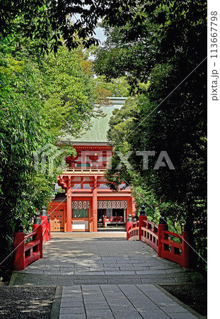 中仙道大宮宿散歩・武蔵一宮 氷川神社 楼門 中仙道大宮宿散歩・武蔵一宮 氷川神社 楼門 113667798