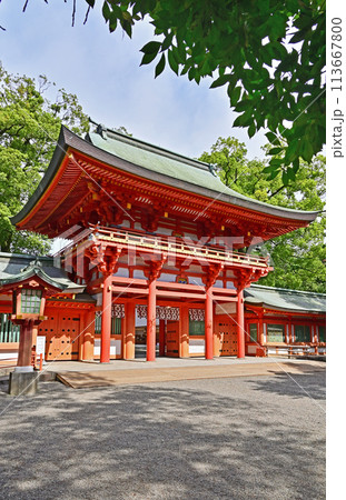 中仙道大宮宿散歩・武蔵一宮 氷川神社　楼門 113667800