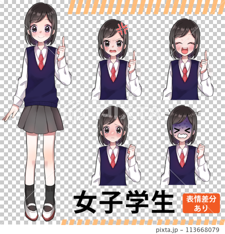 学生服着た女子高生のイラストセット 113668079