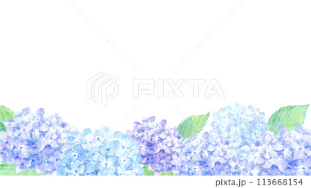 水彩で描いたアジサイの背景 水彩で描いたアジサイの背景 113668154
