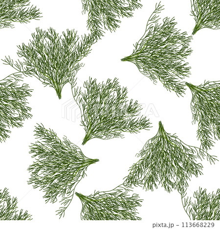 Fresh herbs and spices seasonings seamless pattern. Bunches of dill. Design of packaging, background, poster, flyer. Vector flat illustration. Fresh herbs and spices seasonings seamless pattern. Bunches of dill. Design of packaging, background, poster, flyer. Vector flat illustration. 113668229