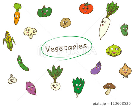 野菜イラスト（カラー） 113668520
