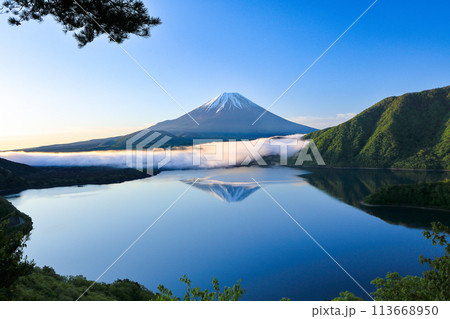 本栖湖岡田紅陽の逆さ富士　山梨県 113668950
