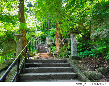 山寺(立石寺):参道 山寺(立石寺):参道 113669073