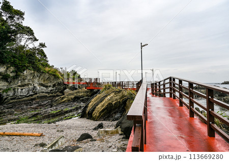 神奈川県三浦市城ヶ島 113669280