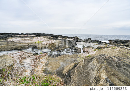 神奈川県三浦市城ヶ島 113669288