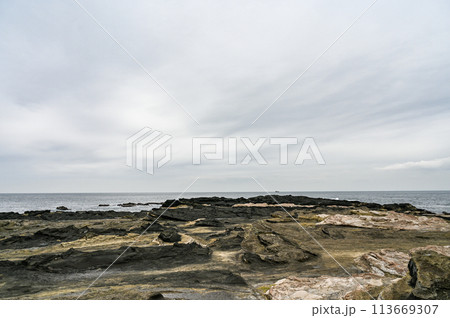 神奈川県三浦市城ヶ島 113669307