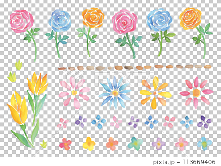 水彩手描きのバラや花のセット 113669406