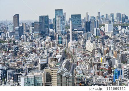 東京の都市風景 113669532