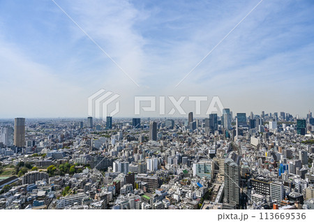 東京の都市風景 東京の都市風景 113669536