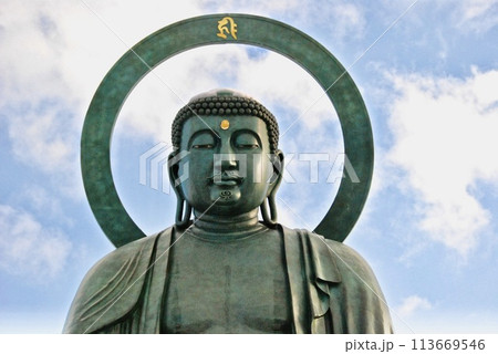 高岡大仏（大佛寺／富山県高岡市大手町） 113669546