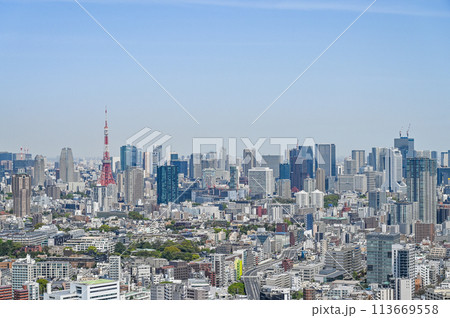 東京の都市風景 東京の都市風景 113669558