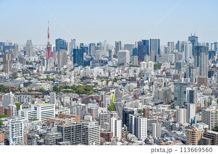 東京の都市風景 東京の都市風景 113669560
