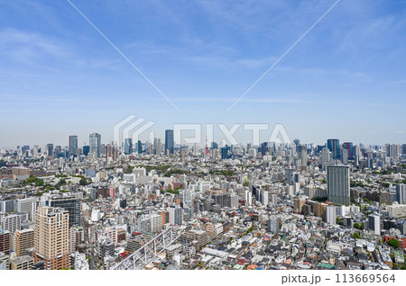 首都東京の都市風景 113669564